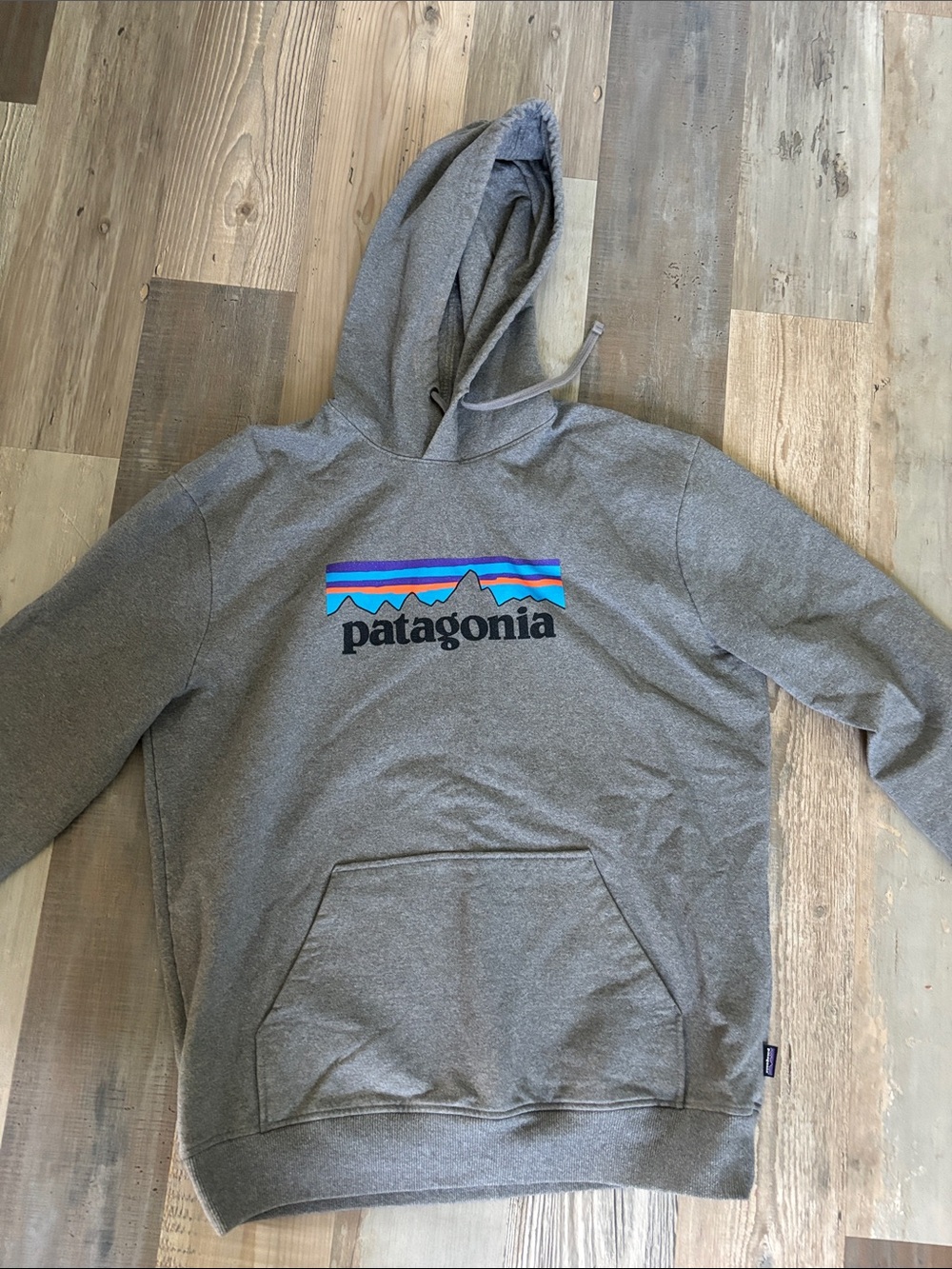 Patagonia Gray Hoodie with Multicolor Mountain Logo